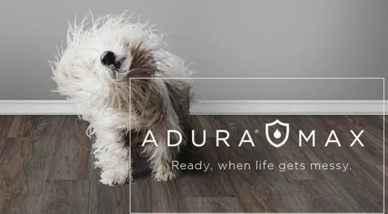 LVT video poster image